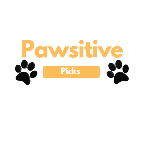Pawsitive Picks