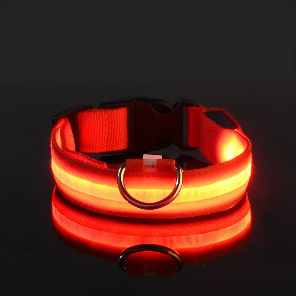 LED Collar for Safety