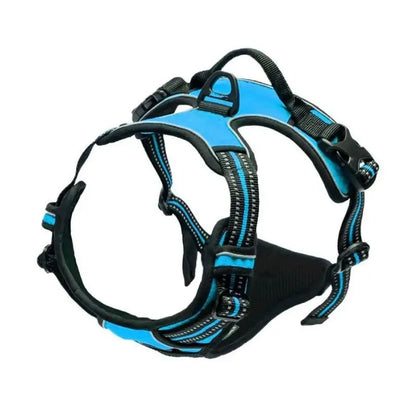 Dog Harness for Walking