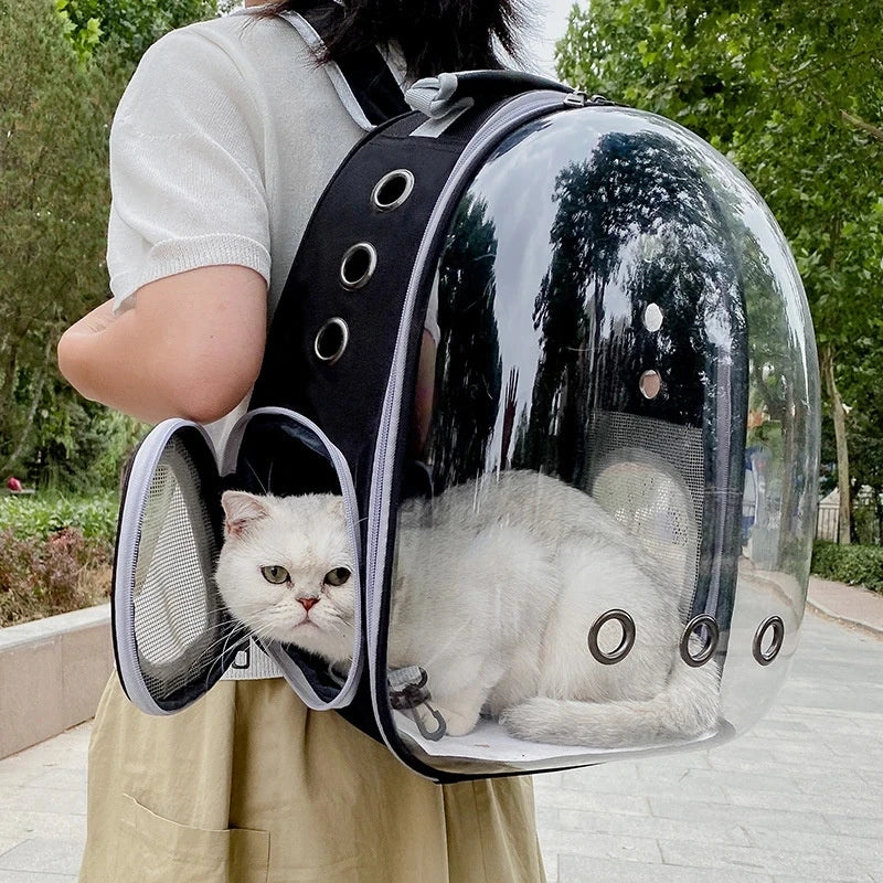 Transparent Pet Travel Backpack