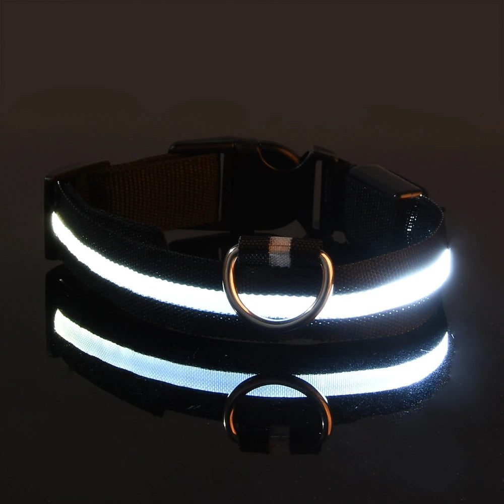 LED Collar for Safety