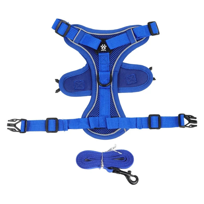 Small Dog Harness for Walking