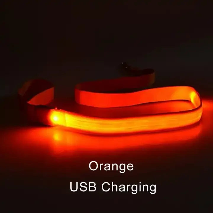LED Safety Dog Leash