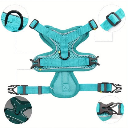 Small Dog Harness for Walking