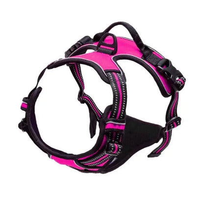 Dog Harness for Walking