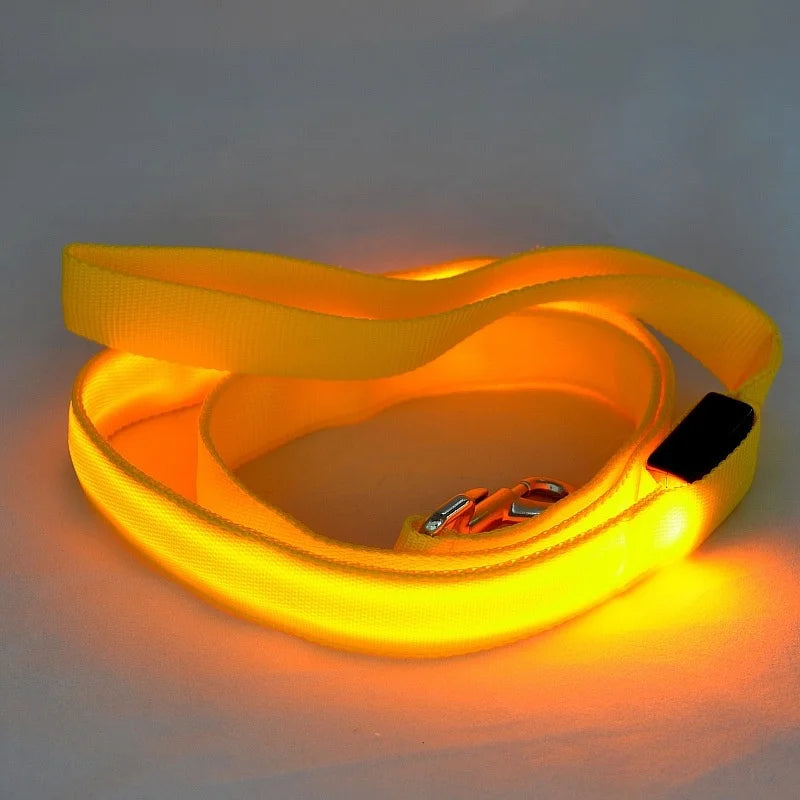 LED Safety Dog Leash