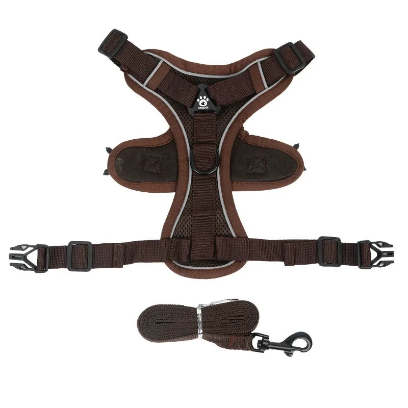 Small Dog Harness for Walking