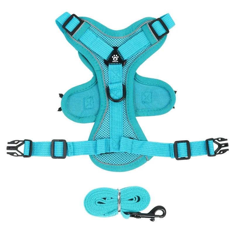 Small Dog Harness for Walking