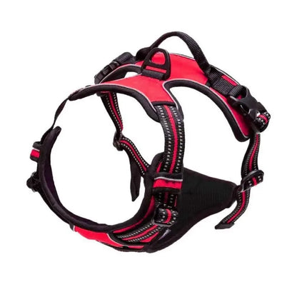 Dog Harness for Walking