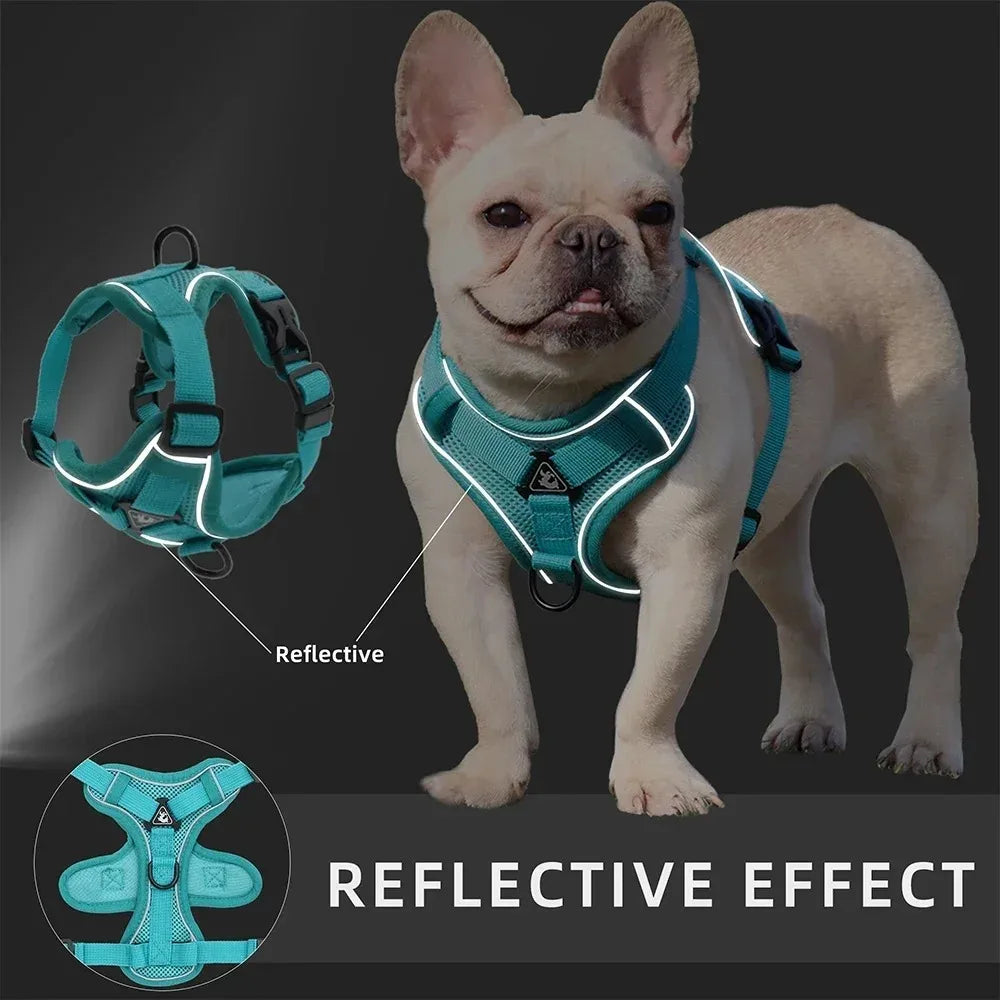 Small Dog Harness for Walking