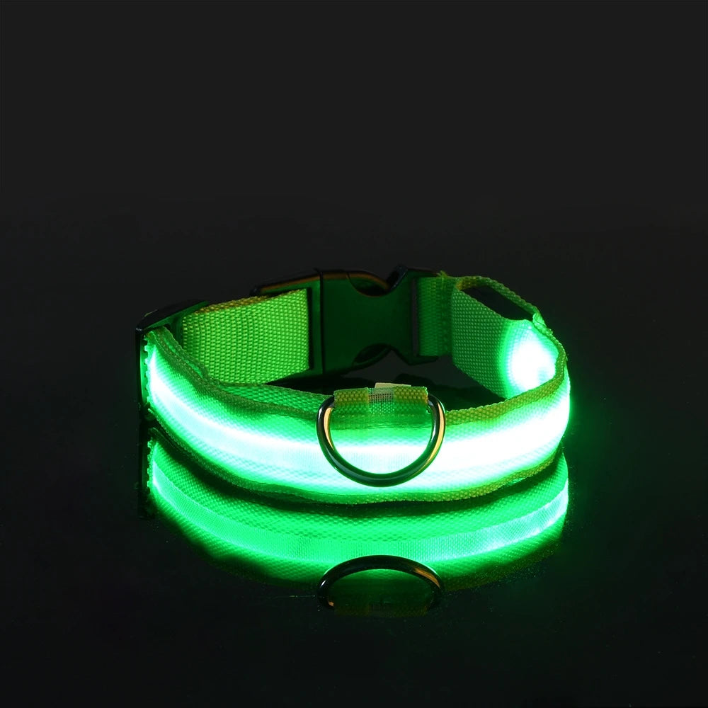 LED Collar for Safety