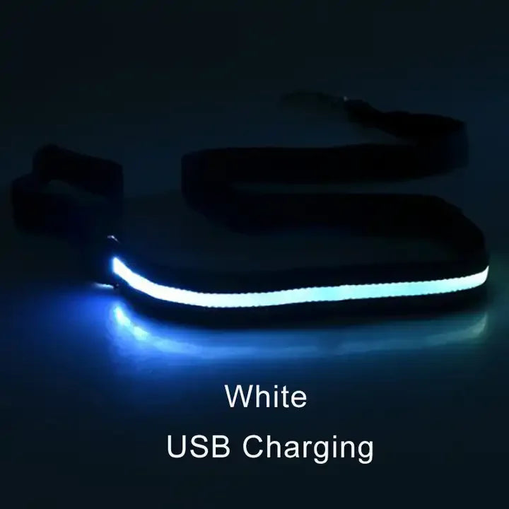 LED Safety Dog Leash