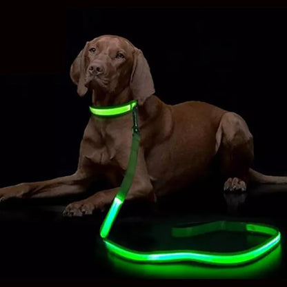 LED Safety Dog Leash