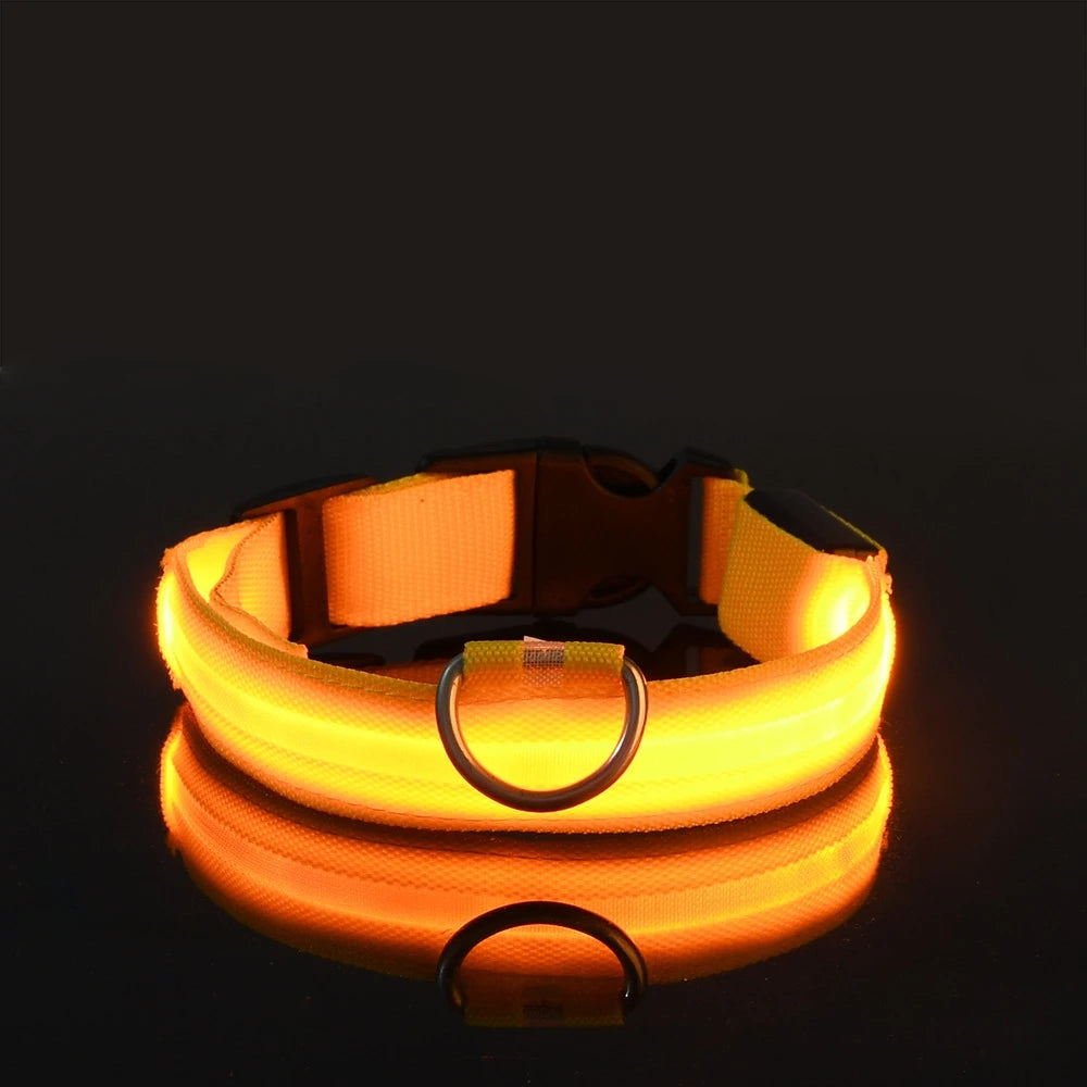 LED Collar for Safety