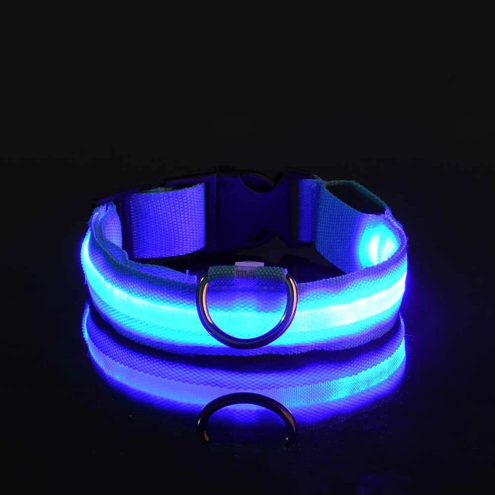 LED Collar for Safety