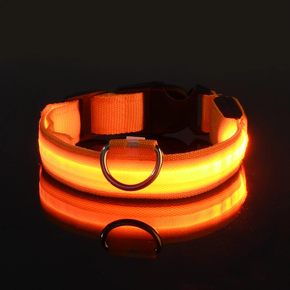 LED Collar for Safety