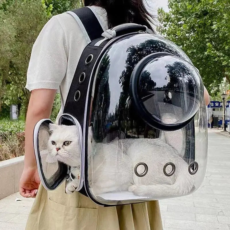 Transparent Pet Travel Backpack