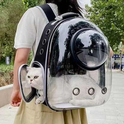 Transparent Pet Travel Backpack