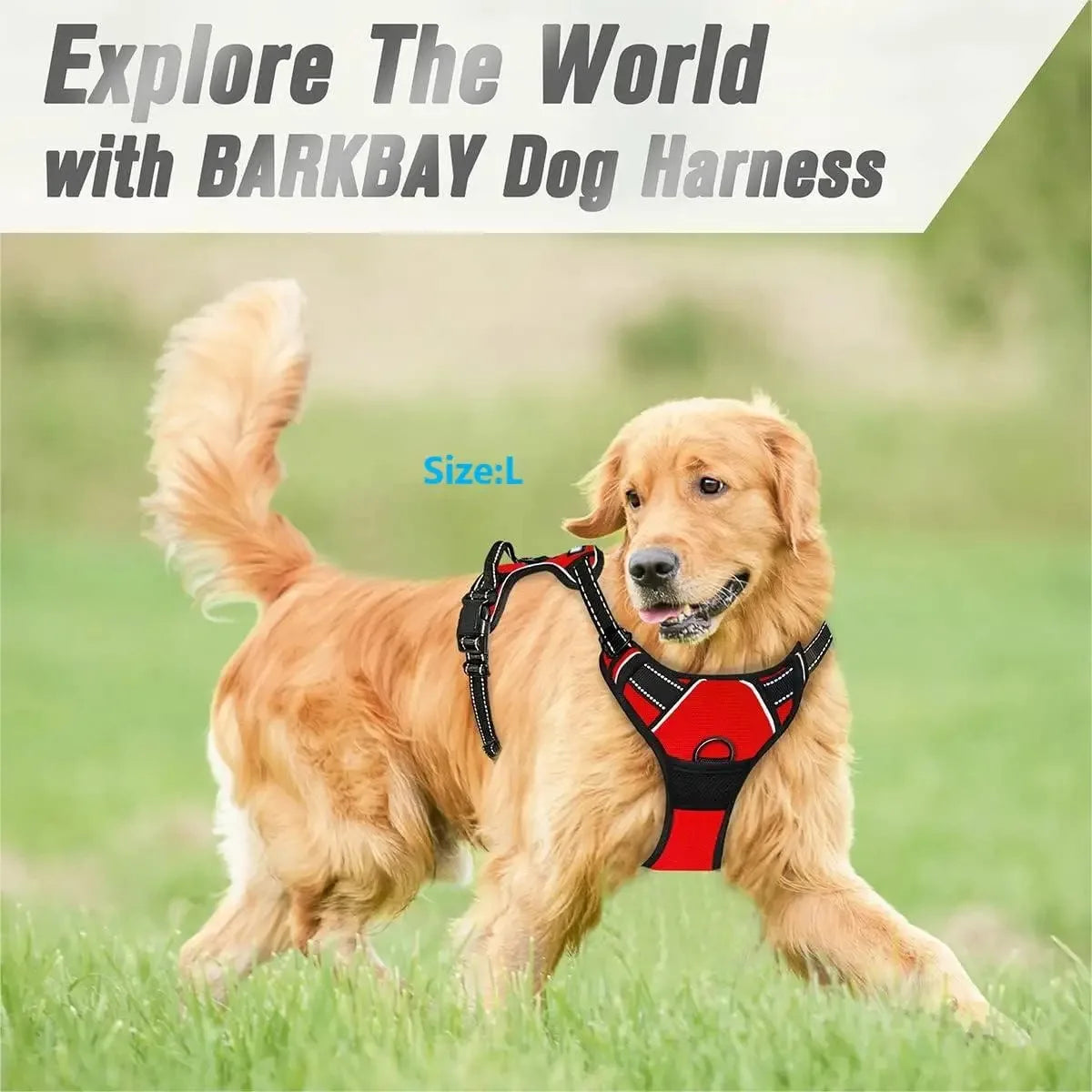 Dog Harness for Walking