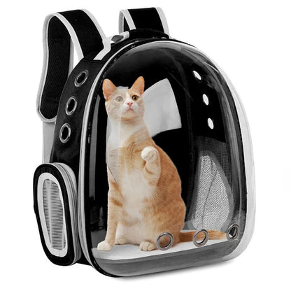 Transparent Pet Travel Backpack
