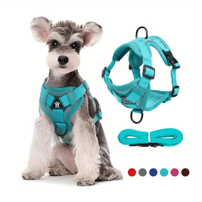 Small Dog Harness for Walking