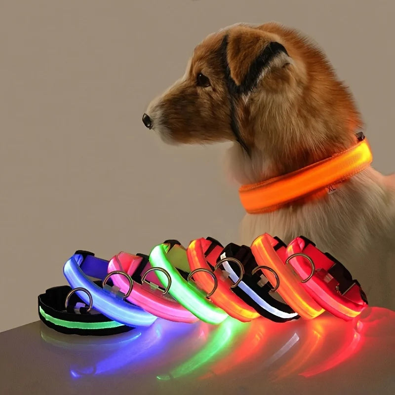 LED Collar for Safety