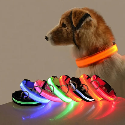 LED Collar for Safety