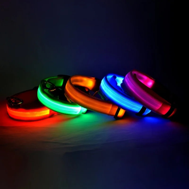 LED Collar for Safety