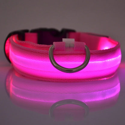 LED Collar for Safety