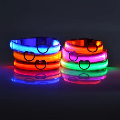 LED Collar for Safety