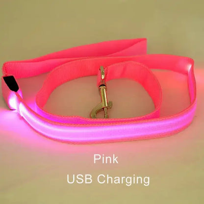 LED Safety Dog Leash