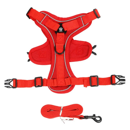 Small Dog Harness for Walking
