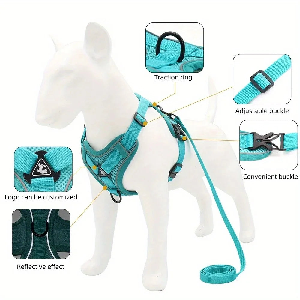 Small Dog Harness for Walking
