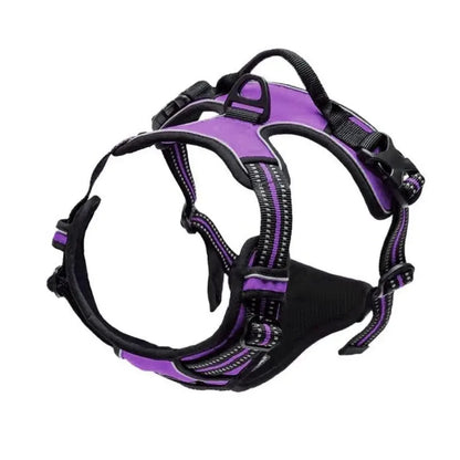 Dog Harness for Walking
