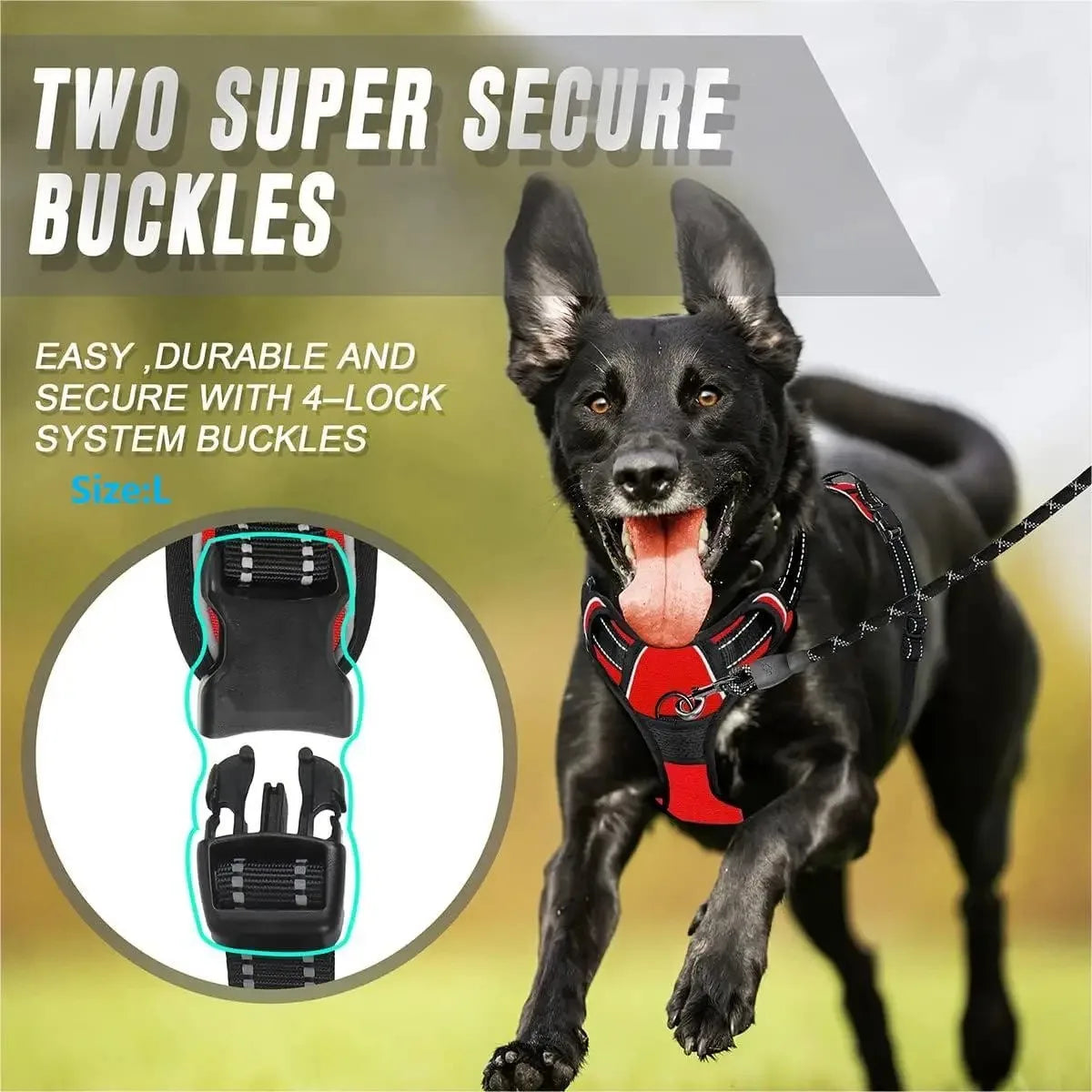 Dog Harness for Walking
