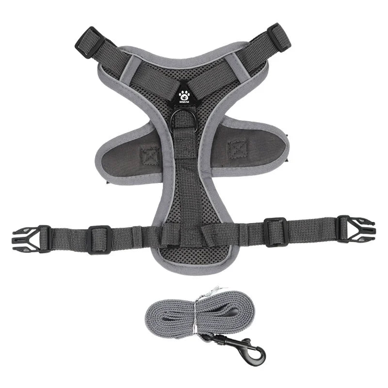 Small Dog Harness for Walking