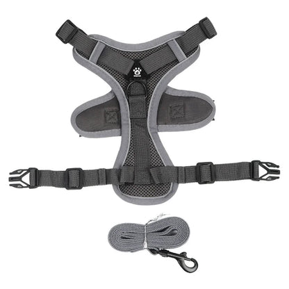 Small Dog Harness for Walking