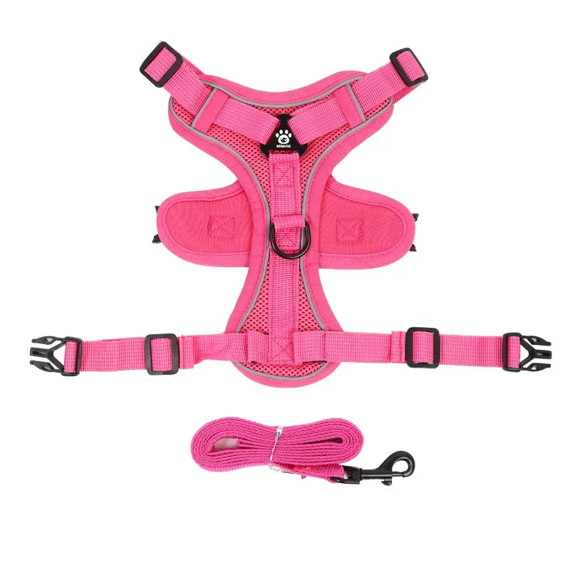 Small Dog Harness for Walking