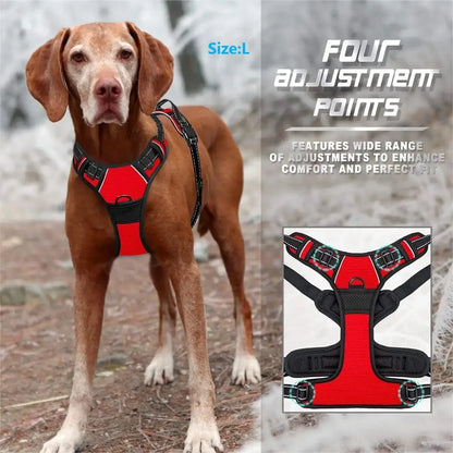 Dog Harness for Walking