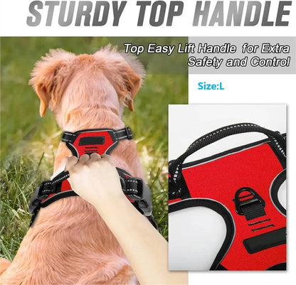 Dog Harness for Walking