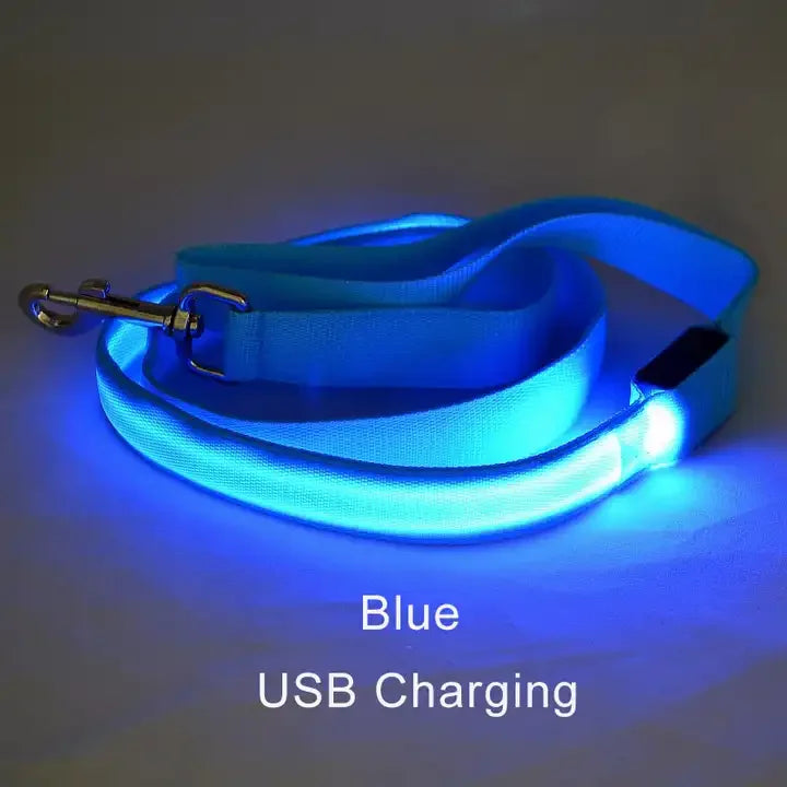 LED Safety Dog Leash
